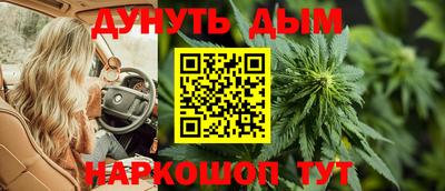 стаф Кинель