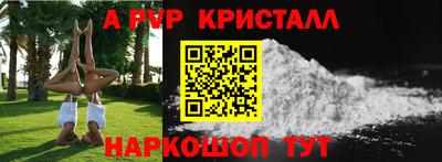 стаф Кинель