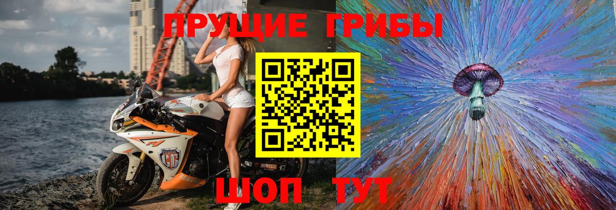 Кубинка  Галлюциногенные грибы Psilocybe  Вход с VPN 